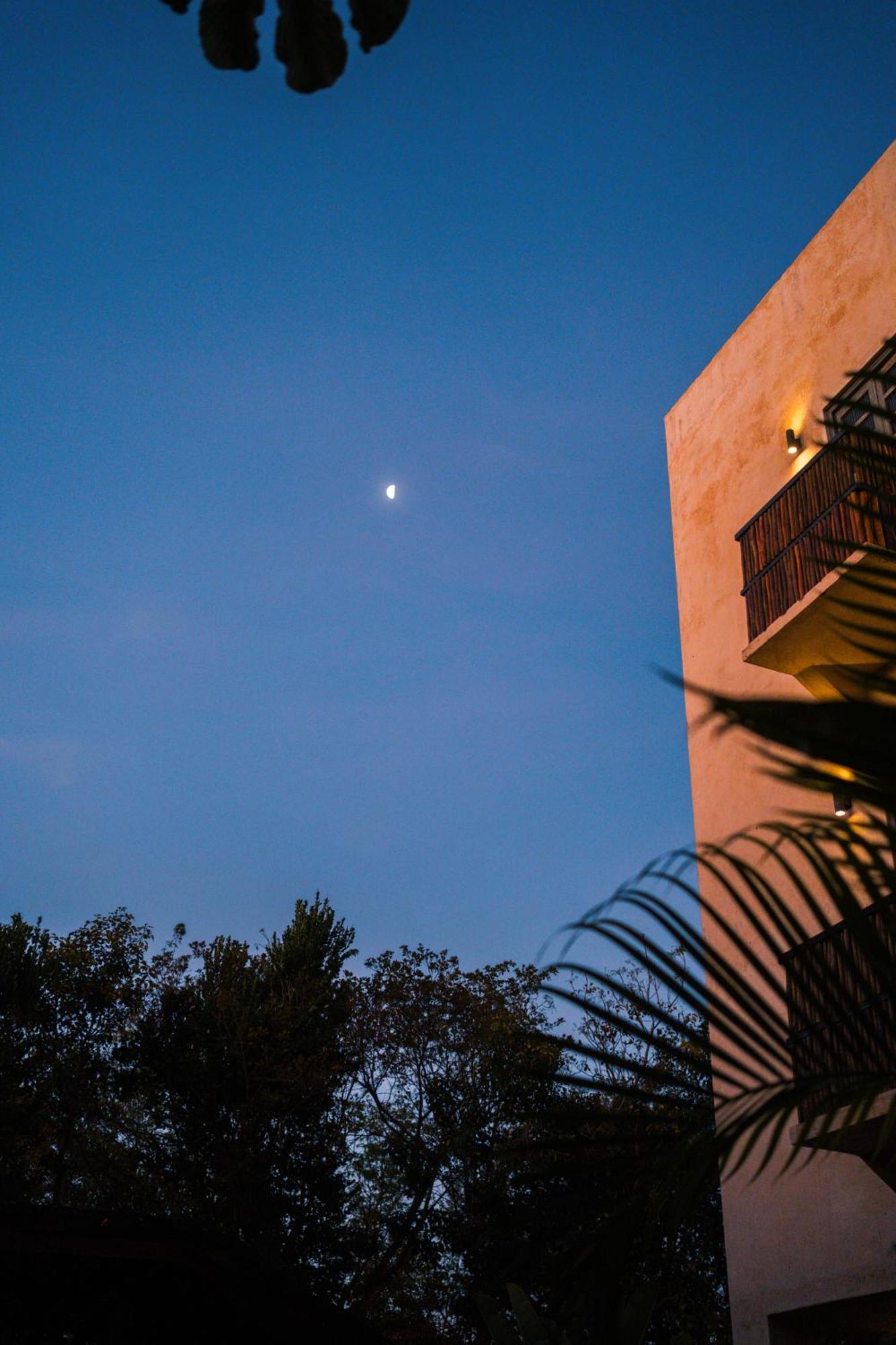 Hotel Botanica Tulum Exteriér fotografie